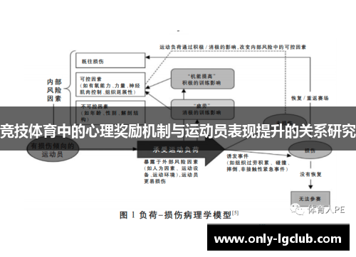 竞技体育中的心理奖励机制与运动员表现提升的关系研究