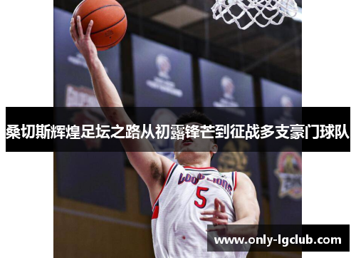 桑切斯辉煌足坛之路从初露锋芒到征战多支豪门球队 桑切斯辉煌足坛之路从初露锋芒到征战多支豪门球队