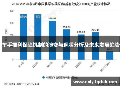 车手福利保障机制的演变与现状分析及未来发展趋势 车手福利保障机制的演变与现状分析及未来发展趋势