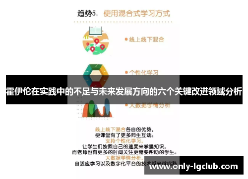 霍伊伦在实践中的不足与未来发展方向的六个关键改进领域分析